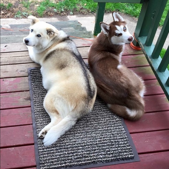 Meet your Posher, Pattie - Picture 2 of 2